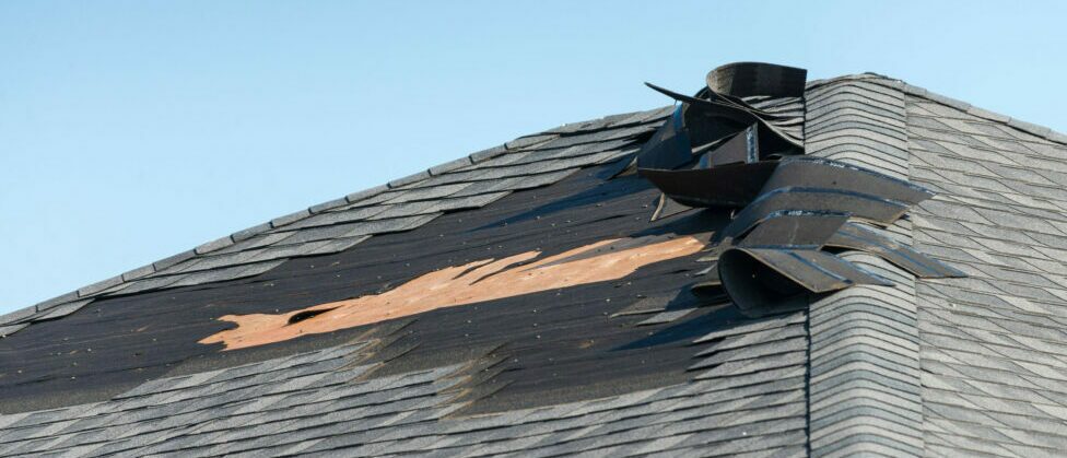 Close-up of wind-damaged roof shingles peeled back exposing the decking